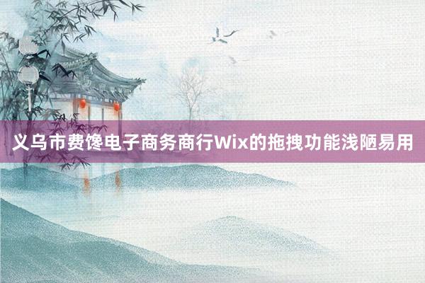 义乌市费馋电子商务商行Wix的拖拽功能浅陋易用