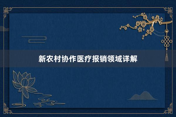 新农村协作医疗报销领域详解