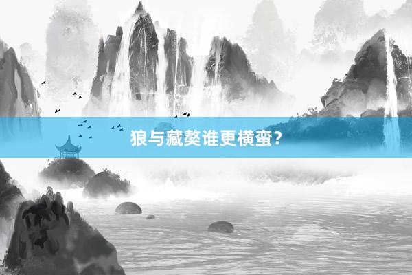 狼与藏獒谁更横蛮？
